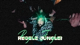 Vorschaubild des Videos Regele Junglei