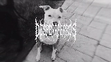 Vorschaubild des Videos MARTINETE