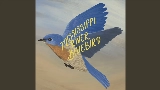 Vorschaubild des Videos Mississippi River Bluebird