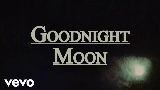 Vorschaubild des Videos Goodnight Moon