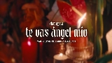 Vorschaubild des Videos Te Vas Ángel Mío (En Vivo)