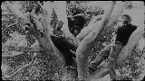 Vorschaubild des Videos Coco Gauff
