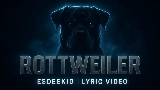 Vorschaubild des Videos Rottweiler