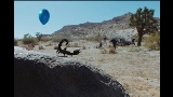 Vorschaubild des Videos What You Want (feat. Teezo Touchdown)