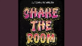 Vorschaubild des Videos Shake The Room
