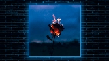 Vorschaubild des Videos Flowers & Guns