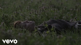 Vorschaubild des Videos Ricordi (con Elisa)