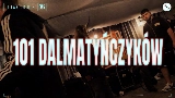 Vorschaubild des Videos 101 DALMATYŃCZYKÓW
