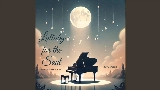 Vorschaubild des Videos Lullaby for the Soul (Instrumental)