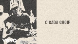 Vorschaubild des Videos Cicada Choir