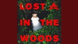 Vorschaubild des Videos Lost In The Woods
