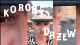 Vorschaubild des Videos Korony drzew