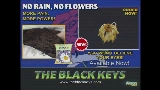 Vorschaubild des Videos No Rain, No Flowers