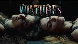 Vorschaubild des Videos Vultures