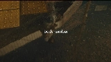 Vorschaubild des Videos 水平線