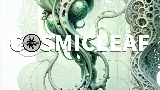 Vorschaubild des Videos World of fungi