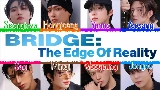 Vorschaubild des Videos Bridge : The Edge of Reality