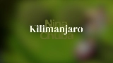 Vorschaubild des Videos Kilimanjaro