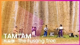 Vorschaubild des Videos 扶桑樹 - The Fusang Tree