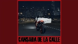 Vorschaubild des Videos Cansada De La Calle