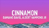 Vorschaubild des Videos Cinnamon (feat. Albert Hammond Jr)