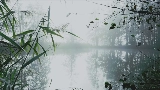 Vorschaubild des Videos reverie