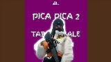 Vorschaubild des Videos DJ Pica Pica 2 X Tabola Bale