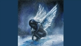 Vorschaubild des Videos Angels