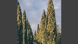 Vorschaubild des Videos Vinho Verde