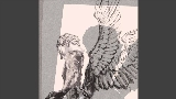 Vorschaubild des Videos Fallen Angel