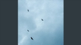 Vorschaubild des Videos Burrasca
